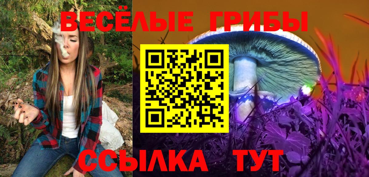наркошоп  Галлюциногенные грибы ЛСД  Вход с VPN  Геленджик 